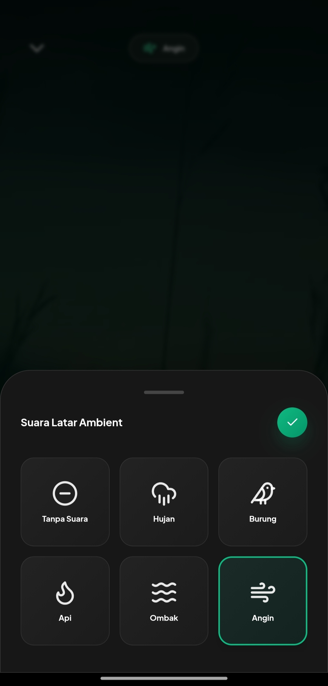 Quranic Ambient